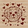 White Havanese Puppy Face A small white dog with a sweet expression and heart-shaped eyes.