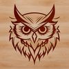 Wild Bird Face Study A high-resolution image of an owl's head, showcasing its distinctive facial features.
