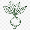 A simplified vector illustration of a radish with clean lines and minimal detail.