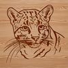Beautiful Ocelot Design Clipart A wild ocelot with a large head and distinctive markings, suitable for vector design.