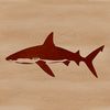 A graphic representation of a shark as a sea creature.
