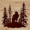 A soaring bird of prey perched on a branch.