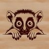 Wildlife Illustration - Primate Profile An isolated illustration of a lemur's head, highlighting its unique characteristics.
