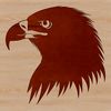 Sharp Feathers and Piercing Eyes A detailed illustration of an eagle's head, featuring sharp feathers and piercing eyes.