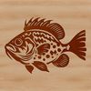 Beautiful Wild Fish Design A detailed illustration of a crappie fish in its natural environment.