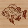 Decorative Fish Illustration A detailed illustration of a Crappie fish, suitable for vector design and cutting machine projects.