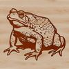 Wildlife SVG Graphics Design A detailed illustration of a toad in its natural habitat.