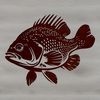 Illustrative Crappie Fish Vector A vector graphic representation of a Crappie fish suitable for use in various digital projects.
