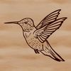 An ornithological design featuring a detailed hummingbird figure with dynamic movement.