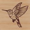 A small, colorful hummingbird in mid-air, its wings spread wide as it hovers near a flower.