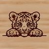 A cute tiger's head peeking out from behind foliage.