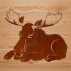 Relaxing Wildlife Illustration A realistic illustration of a moose in a relaxed sleeping position.