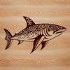 A detailed illustration of a shark, a wild sea creature.