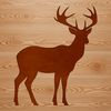 A wildlife-inspired illustration of a deer, suitable for digital design projects.