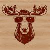 Wildlife with a Cool Twist A moose wearing sunglasses in a natural wilderness setting.