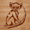 A small, furry primates species native to Madagascar, depicted in a detailed vector illustration.