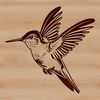Wild Hummingbird Silhouette An illustration of a small, wild bird species known for its rapid wing movement, rendered as a scalable graphics file.