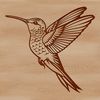 Free SVG Hummingbird Graphics A colorful hummingbird in mid-air, its iridescent feathers glistening as it flutters.