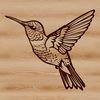 A colorful hummingbird in flight, showcasing its iridescent feathers.
