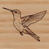 Hummingbird in Mid Air Vector Illustration A colorful hummingbird in mid-flight, depicted as a vector graphic with intricate details and fine lines.
