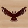 Owl in Flight Illustration A detailed illustration of an owl in flight, showcasing its feathers and wingspan.