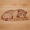 Wild Animal Design Vector Art A realistic illustration of a sleeping jaguar with a wild animal theme.