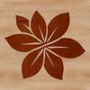A detailed illustration of a realistic wild flower in various colors.