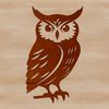 A detailed illustration of a perched owl, showcasing its feathers and facial features.