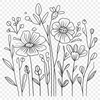 Unique Wild Flower Illustration PDF - Free Download