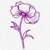 Artistic Wild Flower PNGs - Free Download