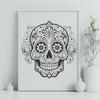 Witchcraft Symbolism Illustration A detailed illustration of a witch surrounded by mystical symbols and an ornate skull.