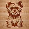 Small but Mighty Yorkshire Terrier A small-sized dog breed, the Yorkshire terrier, sitting on its hind legs.