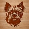 Vector Dog Portrait of a Yorkshire Terrier Small dog breed profile of a Yorkshire Terrier.
