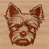 Adorable Yorkshire Terrier Illustration A cute adult Yorkshire terrier dog sitting with its head facing forward, suitable for vector design.