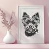 Free Yorkshire Terrier Illustration