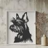 Yorkshire Terrier In PNG Format - Free Commercial Use License