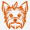 Beautiful Yorkshire Terrier - For Laser Project